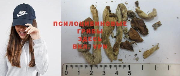 сатива Богородицк