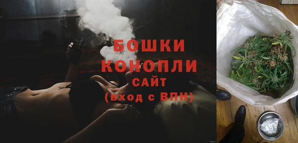 сатива Богородицк