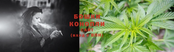 сатива Богородицк