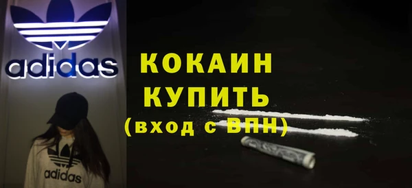 сатива Богородицк