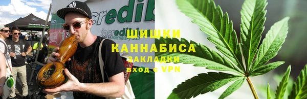 сатива Богородицк