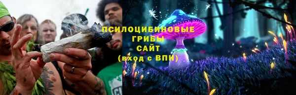 трава Богданович