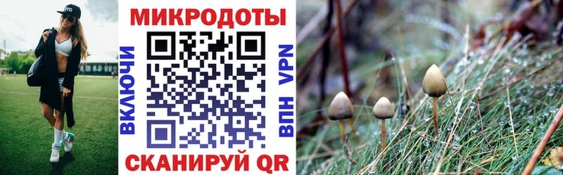 Псилоцибиновые грибы Cubensis  нарко площадка Telegram  Грозный 